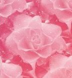 warda rosa